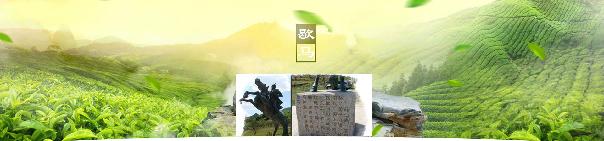 图片展示
