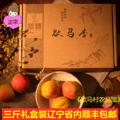 停售！大连庄河特产正宗歇马杏 3斤一箱顺丰包邮《歇马村特产》
