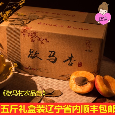 停售！大连庄河特产正宗歇马杏 5斤一箱顺丰省内包邮 《歇马村特产》